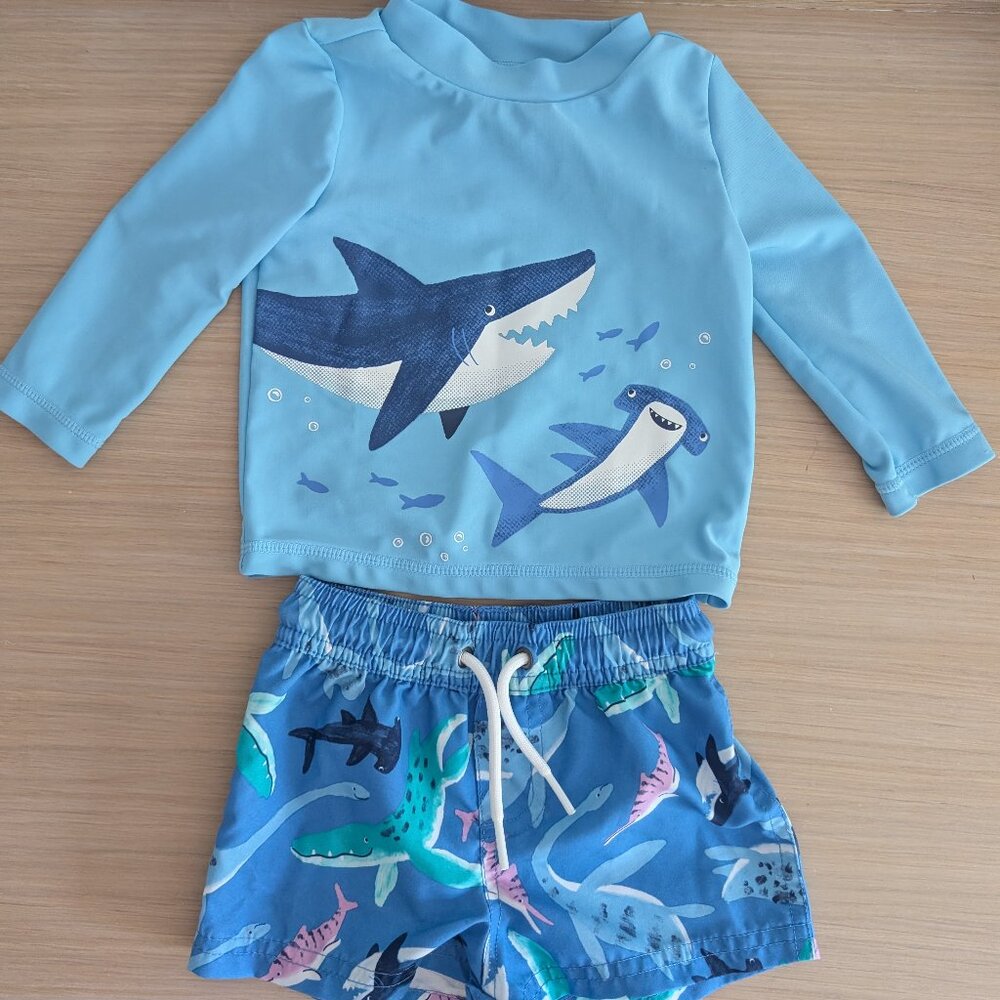 Carter's Just One You®️ Baby Boys' Long Sleeve Rash Guard Swim Trunks Set, 6M